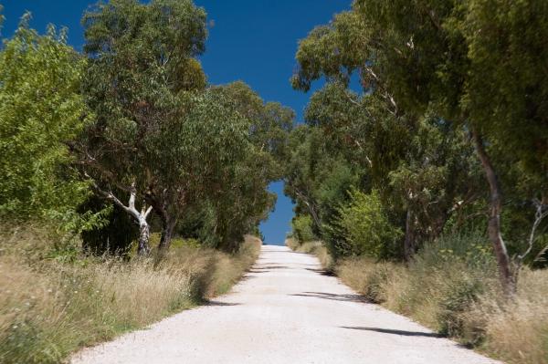 More Australia 2006 photos uploaded