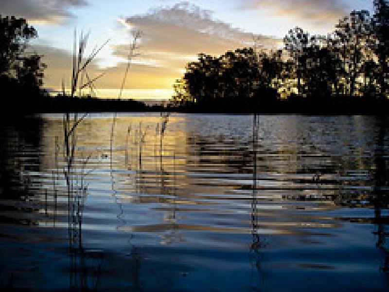 Murray River Sunset