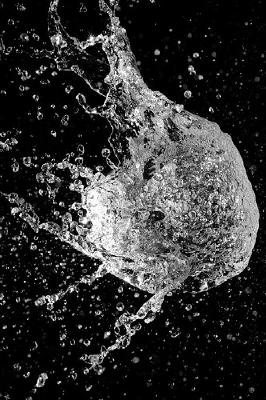 Some scavenger hunt photos