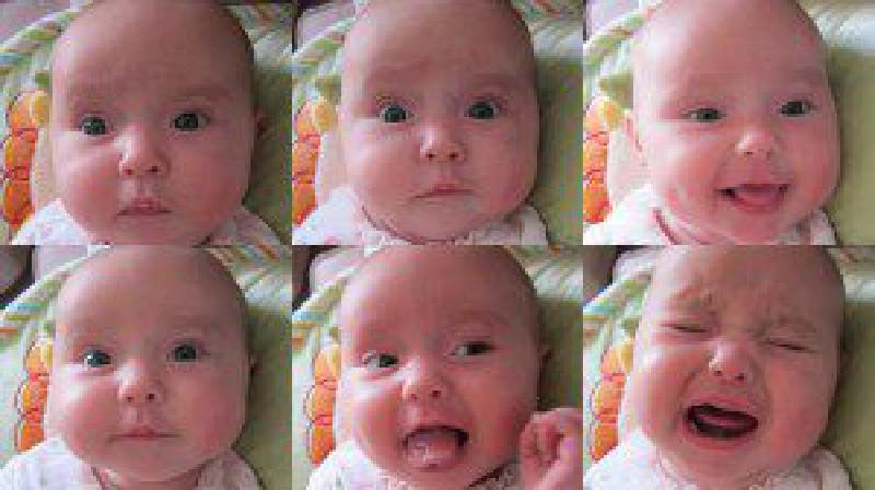 1273783_10151751745012426_653906233_o