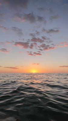 Views from Marco Island