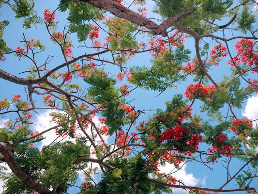 Looking up!